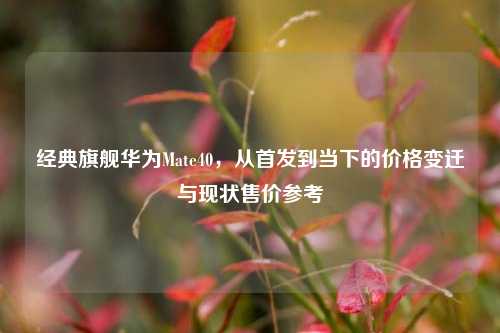 经典旗舰华为Mate40,从首发到当下的价格变迁与现状售价参考