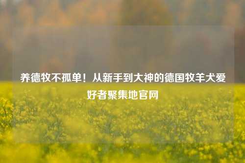 养德牧不孤单！从新手到大神的德国牧羊犬爱好者聚集地官网