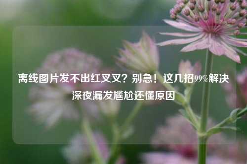 离线图片发不出红叉叉?别急!这几招99%解决深夜漏发尴尬还懂原因