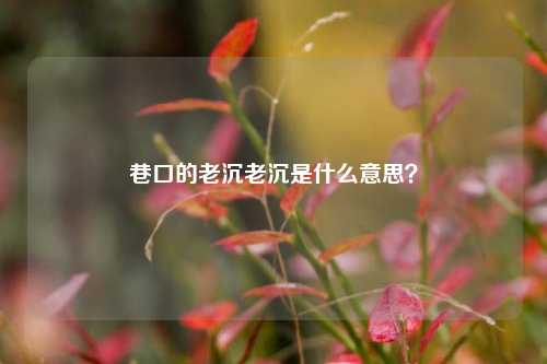 巷口的老沉老沉是什么意思？