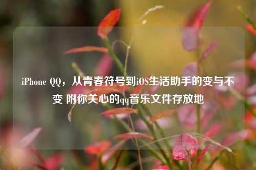 iPhone QQ,从青春符号到iOS生活助手的变与不变 附你关心的qq音乐文件存放地