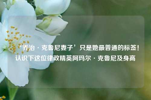 ‘乔治·克鲁尼妻子’只是她最普通的标签!认识下这位律政精英阿玛尔·克鲁尼及身高