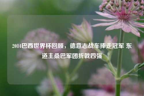 2014巴西世界杯回顾，德意志战车捧走冠军 东道主桑巴军团折戟四强