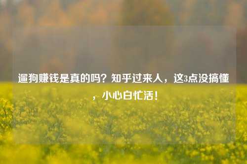 遛狗赚钱是真的吗？知乎过来人，这3点没搞懂，小心白忙活！