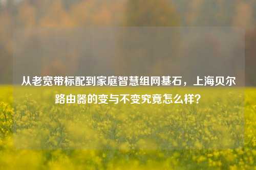 从老宽带标配到家庭智慧组网基石，上海贝尔路由器的变与不变究竟怎么样？