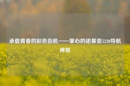 承载青春的彩色街机——掌心的诺基亚5230导航神器