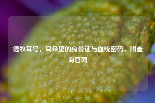德牧耳号，耳朵里的身份证与血统密码，附查询官网