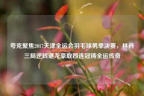 夸克聚焦2017天津全运会羽毛球男单决赛,林丹三局逆转谌龙豪取四连冠铸全运传奇