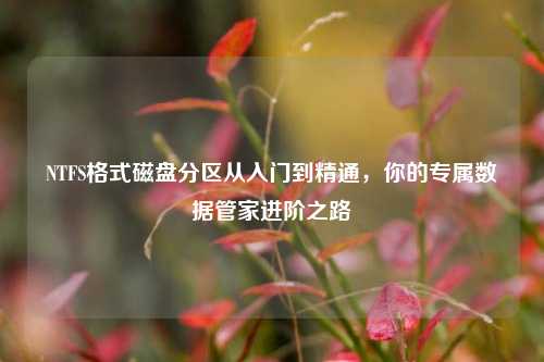 NTFS格式磁盘分区从入门到精通,你的专属数据管家进阶之路