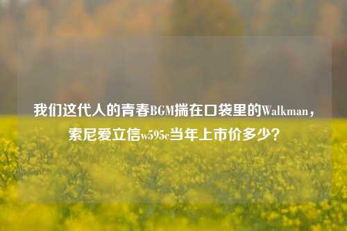 我们这代人的青春BGM揣在口袋里的Walkman,索尼爱立信w595c当年上市价多少?