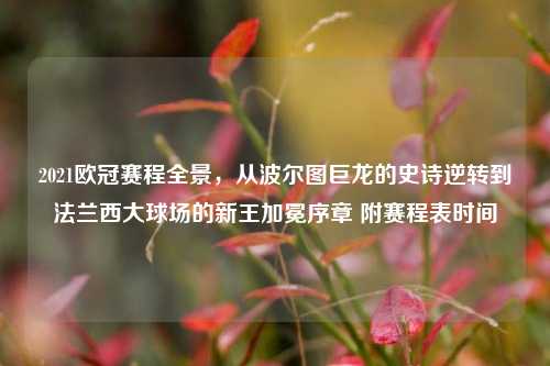 2021欧冠赛程全景,从波尔图巨龙的史诗逆转到法兰西大球场的新王加冕序章 附赛程表时间