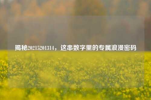 揭秘20215201314,这串数字里的专属浪漫密码