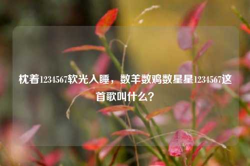 枕着1234567软光入睡,数羊数鸡数星星1234567这首歌叫什么?