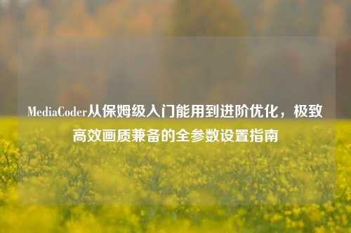 MediaCoder从保姆级入门能用到进阶优化,极致高效画质兼备的全参数设置指南