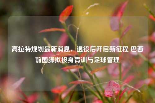 高拉特规划最新消息,退役后开启新征程 巴西前国脚拟投身青训与足球管理