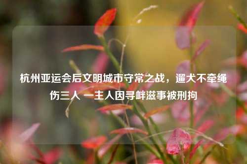 杭州亚运会后文明城市守常之战,遛犬不牵绳伤三人 一主人因寻衅滋事被刑拘