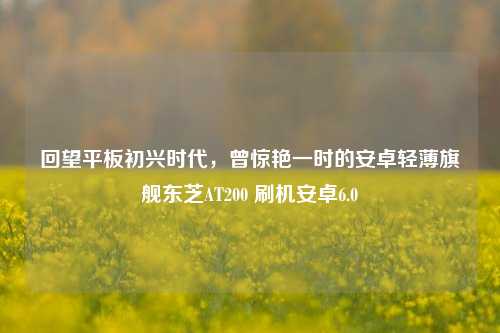 回望平板初兴时代,曾惊艳一时的安卓轻薄旗舰东芝AT200 刷机安卓6.0