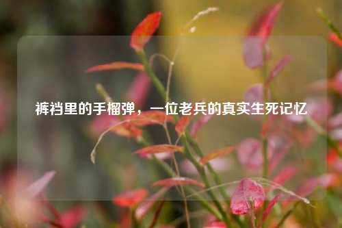 裤裆里的手榴弹,一位老兵的真实生死记忆