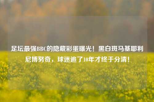 足坛最强BBC的隐藏彩蛋曝光!黑白斑马基耶利尼博努奇,球迷追了10年才终于分清!
