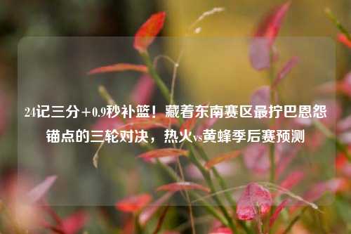 24记三分+0.9秒补篮!藏着东南赛区最拧巴恩怨锚点的三轮对决,热火vs黄蜂季后赛预测