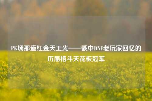 PK场那道红金天王光——戳中DNF老玩家回忆的历届格斗天花板冠军