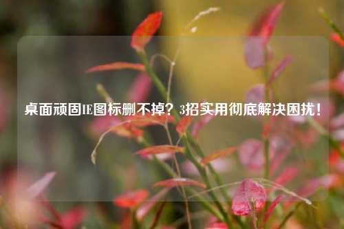 桌面顽固IE图标删不掉？3招实用彻底解决困扰！