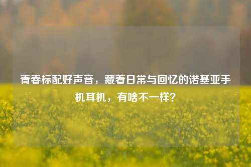 青春标配好声音，藏着日常与回忆的诺基亚手机耳机，有啥不一样？
