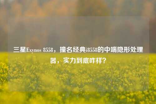 三星Exynos 8558，撞名经典i8558的中端隐形处理器，实力到底咋样？