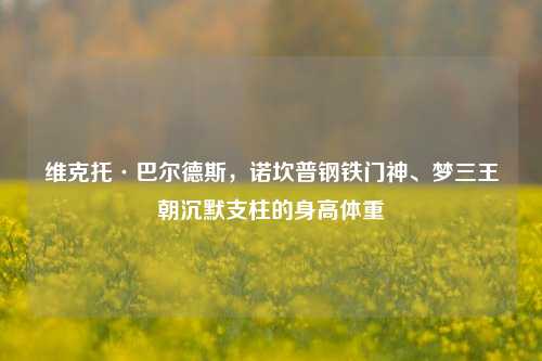 维克托·巴尔德斯,诺坎普钢铁门神、梦三王朝沉默支柱的身高体重