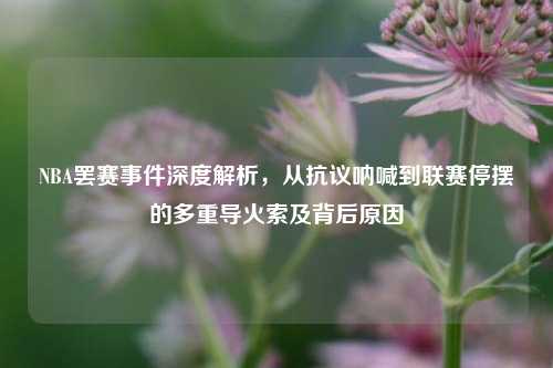 NBA罢赛事件深度解析,从抗议呐喊到联赛停摆的多重导火索及背后原因