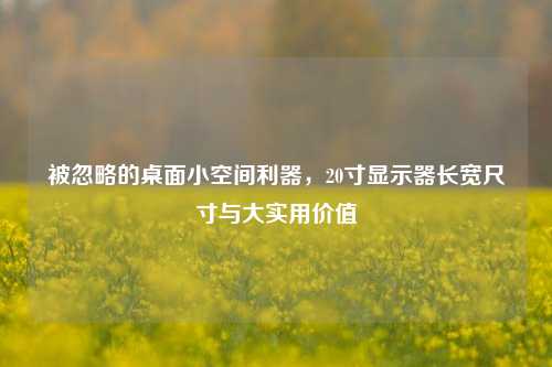 被忽略的桌面小空间利器,20寸显示器长宽尺寸与大实用价值