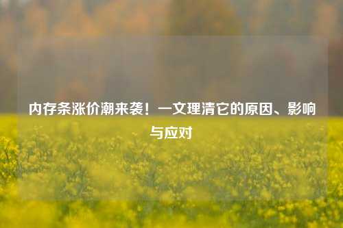 内存条涨价潮来袭!一文理清它的原因、影响与应对