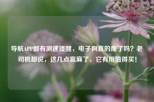 导航APP都有测速提醒，电子狗真的废了吗？老司机却说，这几点赢麻了，它有用值得买！