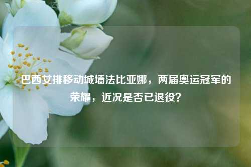 巴西女排移动城墙法比亚娜,两届奥运冠军的荣耀,近况是否已退役?