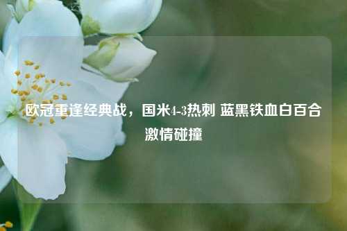 欧冠重逢经典战,国米4-3热刺 蓝黑铁血白百合激情碰撞