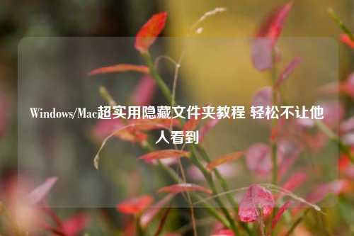 Windows/Mac超实用隐藏文件夹教程 轻松不让他人看到