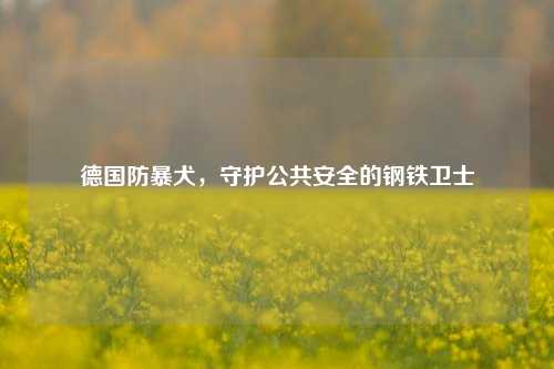 德国防暴犬,守护公共安全的钢铁卫士