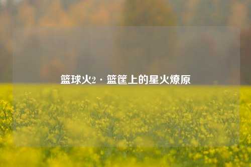 篮球火2·篮筐上的星火燎原