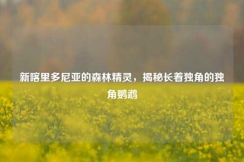 新喀里多尼亚的森林精灵，揭秘长着独角的独角鹦鹉