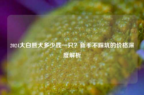 2024大白熊犬多少钱一只?新手不踩坑的价格深度解析