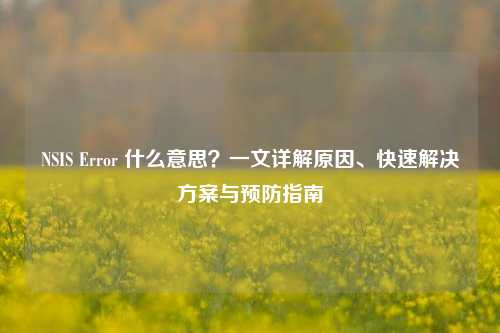 NSIS Error 什么意思？一文详解原因、快速解决方案与预防指南