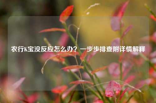 农行K宝没反应怎么办?一步步排查附详情解释