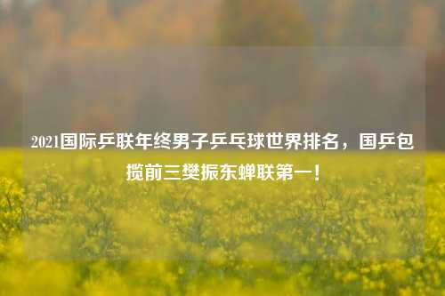 2021国际乒联年终男子乒乓球世界排名,国乒包揽前三樊振东蝉联第一!