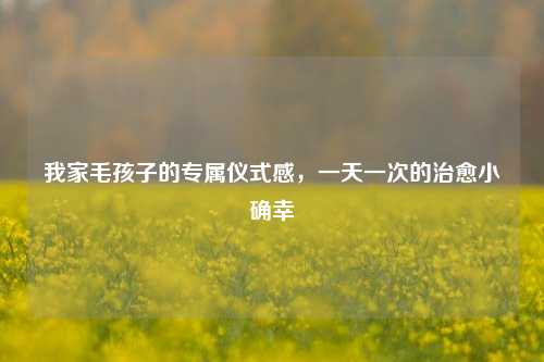 我家毛孩子的专属仪式感,一天一次的治愈小确幸