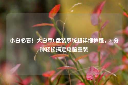 小白必看!大白菜U盘装系统超详细教程,30分钟轻松搞定电脑重装