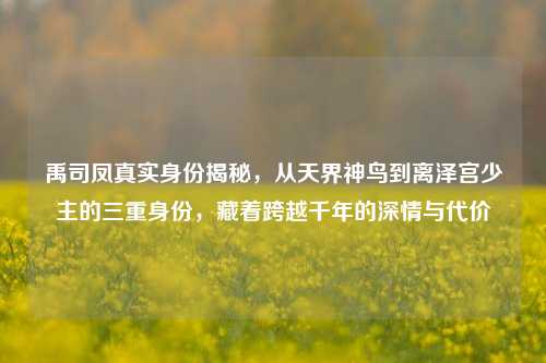 禹司凤真实身份揭秘,从天界神鸟到离泽宫少主的三重身份,藏着跨越千年的深情与代价
