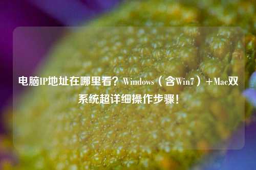 电脑IP地址在哪里看?Windows(含Win7)+Mac双系统超详细操作步骤!