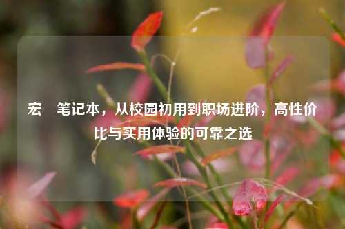 宏碁笔记本,从校园初用到职场进阶,高性价比与实用体验的可靠之选
