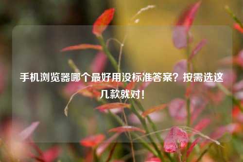 手机浏览器哪个最好用没标准答案?按需选这几款就对!