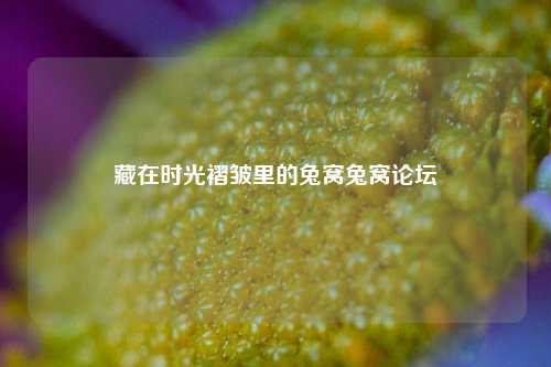 藏在时光褶皱里的兔窝兔窝论坛